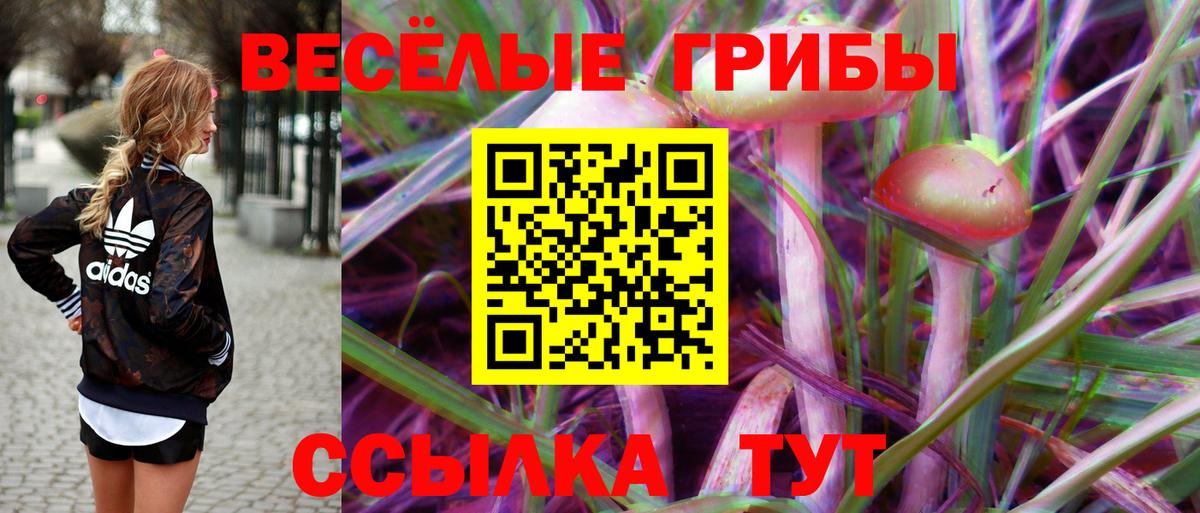 Псилоцибиновые грибы Magic Shrooms  Вход с VPN  где найти   Лосино-Петровский  Псилоцибиновые грибы мухоморы 